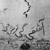 Heidari